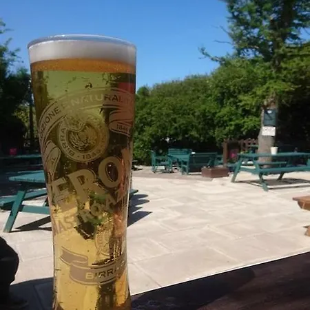 The Queens Bed & Breakfast